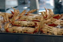 El marisco contiene contaminantes poco estudiados. Imagen: kconnors. Fuente: MorgueFile. El marisco contiene contaminantes poco estudiados. Imagen: kconnors. Fuente: MorgueFile.