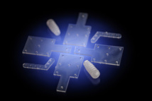 Implantes de polímeros biodegradables. Fuente: UPV-EHU.