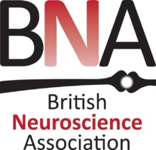 Logo de la British Neuroscience Association. Logo de la British Neuroscience Association.