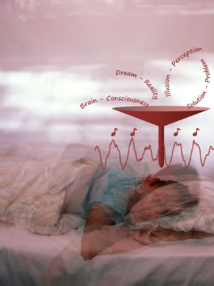 Las ondas sonoras durante el sueño son beneficiosas para la memoria. Fuente: Ngo et al.