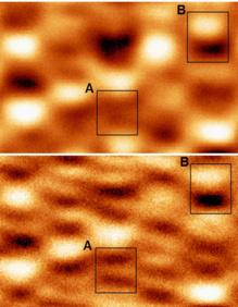 Imágenes de microscopía de fuerzas magnéticas de la misma zona de un disco duro donde se observan cinco pistas que han sido obtenidas con el modo convencional (imagen superior) y con el nuevo modo torsional (imagen inferior). Fuente: CSIC. Imágenes de microscopía de fuerzas magnéticas de la misma zona de un disco duro donde se observan cinco pistas que han sido obtenidas con el modo convencional (imagen superior) y con el nuevo modo torsional (imagen inferior). Fuente: CSIC.