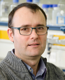 El investigador Jordi Surrallés. Fuente: UAB. El investigador Jordi Surrallés. Fuente: UAB.