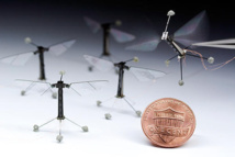 La mosca-robot. Imagen: Kevin Ma y Pakpong Chirarattananon. Fuente: Harvard University.