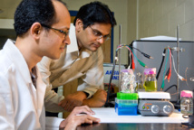 Ramaraja Ramasamy, a la derecha, y su colaborador, Yogeswaran Umasankar, trabajan para capturer la  energía creada durante la fotosíntesis. Fuente: Universidad de Georgia.