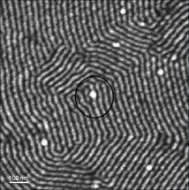 Un composite nanoestructurado, visto con microscopio. Nanopartículas de seleniuro de cadmio funcionalizadas con cadenas de poliestireno (puntos gruesos blancos), dispersadas en la fase de poliestireno del copolímero de bloque estireno-butadieno-estireno (SBS) (las líneas blancas son la fase de poliestireno, y, las líneas negras, la fase de butadieno). Imagen tomada con microscopio de fuerza atómica. Imagen: Haritz Etxeberria Altuna. Fuente: UPV-EHU.