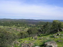 Parque Natural Sierra de Andújar, en Jaén. Imagen: Rafael Palomo López y José Sánchez Rodríguez. Fuente: Wikimedia Commons. Parque Natural Sierra de Andújar, en Jaén. Imagen: Rafael Palomo López y José Sánchez Rodríguez. Fuente: Wikimedia Commons.