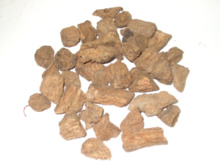 Trozos de raíz de cardo globo gigante. Imagen: Victor Kuete. Fuente: JGU. Trozos de raíz de cardo globo gigante. Imagen: Victor Kuete. Fuente: JGU.