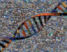 El proyecto Malaspinomics quiere secuenciar el ADN de las especies más escondidas. Fuente: CSIC. El proyecto Malaspinomics quiere secuenciar el ADN de las especies más escondidas. Fuente: CSIC.