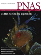 Portada de la edición de esta semana de la revista PNAS. Fuente: PNAS. Portada de la edición de esta semana de la revista PNAS. Fuente: PNAS.