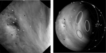 Seguimiento de las nubes de Venus. Imagen: Khatuntsev et al. Fuente: Icarus. Seguimiento de las nubes de Venus. Imagen: Khatuntsev et al. Fuente: Icarus.
