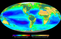 Distribución de la fotosíntesis en el globo terráqueo. Imagen: Yikrazuul. The SeaWiFS Project, NASA/Goddard Space Flight Center and ORBIMAGE.