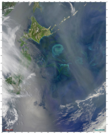 Esta imagen de satélite muestra un gran florecimiento de fitoplancton, de unos 150 kilómetros de diámetro, que se produjo en el Océano Pacífico de las costas de Japón, en mayo de 2009. Los investigadores han asumido que el hierro impulsó un fenómeno similar al final de la última era glacial, pero un nuevo estudio sugiere que en realidad fue una "tormenta perfecta" de luz y nutrientes lo que lo estimuló. Imagen: Norman Kuring, MODIS Ocean Color Team/NASA. Fuente: WHOI.