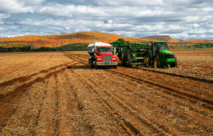 Un tractor y un camión en un campo de patatas. Imagen: shadowkill. Fuente: StockXchng.
