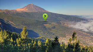 El proyecto Corona forestal de Mirlo Positive Nature pretende repoblar el valle de la Orotava en Tenerife. Fuente: Mirlo Positive Nature.