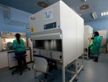 Un laboratorio de Novalindus. Fuente: CSIC. Un laboratorio de Novalindus. Fuente: CSIC.