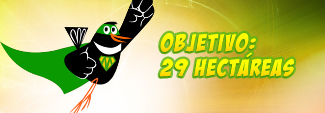 Turistas y ciudadanos pueden participar en el proyecto Corona forestal, de Mirlo Positive Nature y el Cabildo de Tenerife para reducir la huella ecológica de sus actividades en el archipiélago canario. Imagen: Mirlo Positive Nature.