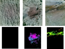 Algunas de la simágenes tomadas por el Astrobiólogo Cibernético en busca de colores y texturas nuevas. Imagen: P.C. McGuire et.al. Fuente: Freie Universität Berlin/CSIC-INTA/U. Malta/U. Chicago.