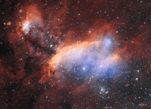 Imagen detallada de la Nebulosa de la Gamba obtenida por el telescopio VST de ESO. Fuente: ESO.