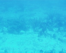 De la mezcla de las aguas oceánicas depende la captura de C02. Imagen: Mconnors.