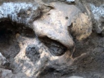 El rostro del cráneo 5 in situ. Fuente: Museo Nacional de Georgia.