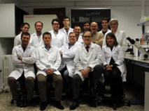 Los miembros del grupo de Ingeniería Tisular del departamento de Histología de la Universidad de Granada. Fuente: UGR.