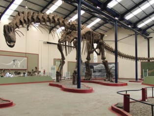 El esqueleto de 40 metros de 'Argentinosaurus', en el Museo Municipal Carmen Funes, en Plaza Huincul (Argentina). Imagen: Bill Sellers. Fuente: Universidad de Manchester.