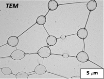 Imagen de la red tomada con un microscopio electrónico de transmisión. Fuente: ICIQ. Imagen de la red tomada con un microscopio electrónico de transmisión. Fuente: ICIQ.