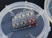 Varios prototipos del transistor sináptico pueden verse en este chip de silicio. Imagen: Eliza Grinnell. Fuente: SEAS Communications.