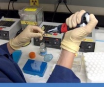 Imagen: Daino_16. Fuente: Stock photo. Imagen: Daino_16. Fuente: Stock photo.