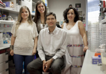 Los investigadores del trabajo premiado. Fuente: CNIO. Los investigadores del trabajo premiado. Fuente: CNIO.