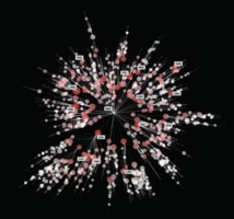 El mapa 'real' de riesgo de propagación de enfermedades. Imagen: Dirk Brockmann. Fuente: SINC. El mapa 'real' de riesgo de propagación de enfermedades. Imagen: Dirk Brockmann. Fuente: SINC.
