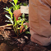 Fuente: Mirlo Positive Nature. Fuente: Mirlo Positive Nature.