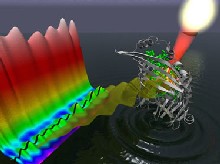 Imagen del proceso cuántico de la fotosíntesis. BL.