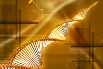 Imagen: abhijith3747. Fuente: PhotoXpress.