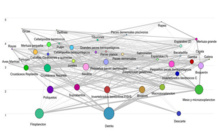 Diagrama que representa los flujos de energía entre los diferentes compartimentos del econsistema del golfo de Cádiz. Fuente: IEO. Diagrama que representa los flujos de energía entre los diferentes compartimentos del econsistema del golfo de Cádiz. Fuente: IEO.