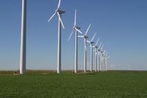 Imagen: Leaflet. Fuente: Wikipedia. Imagen: Leaflet. Fuente: Wikipedia.