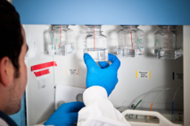 Imagen: Pediatric Cancer Genome Project. Imagen: Pediatric Cancer Genome Project.