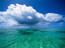 El océano no es manejable El océano no es manejable