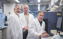 David Tarlinton, Stephen Nutt y Axel Kallies. Fuente: Walter and Eliza Hall Institute. David Tarlinton, Stephen Nutt y Axel Kallies. Fuente: Walter and Eliza Hall Institute.