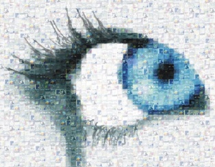 Fuente: CSIC. Fuente: CSIC.