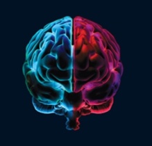 El cerebro distingue entre risa verdadera y falsa. Fuente: Royal Holloway, Universidad de Londres. El cerebro distingue entre risa verdadera y falsa. Fuente: Royal Holloway, Universidad de Londres.