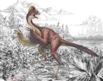Ilustración de “Anzu wyliei” que muestra varias características anatómicas llamativas de este gran dinosaurio emplumado. Imagen: Mark Klingler, Museo Carnegie de Historia Natural. Fuente: SINC.