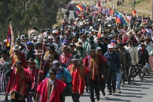 The Real Thing: Coca, Democracy and Rebellion in Bolivia.