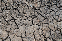 La sequía también supondría un gran problema en Europa en 2080 si no se frena el cambio climático, al alcanzar a unos 700.000 km2 por año –más que la superficie total de España–. Afectará a 140 millones de personas al año, alerta el estudio del JRC. Imagen: Aliaksandr Zabudzko. Fuente: PhotoXpress.