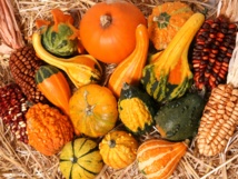 Imagen: MLA Photography. Fuente: PhotoXpress. Imagen: MLA Photography. Fuente: PhotoXpress.