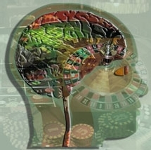 Center for Visual Science Center for Visual Science