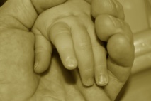 Embriones digitales permiten conocer a los hijos, antes de que sean concebidos Embriones digitales permiten conocer a los hijos, antes de que sean concebidos