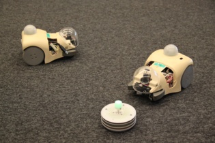Los robots adoptan distintos comportamientos cuando tienen que elegir entre el alimento y esperar que otro robot se dé la vuelta para aparearse. Fuente: OIST.
