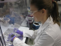 Karen Smith analizando los meteoritos que contienen niacina. Imagen: Karen Smith. Fuente: NASA. Karen Smith analizando los meteoritos que contienen niacina. Imagen: Karen Smith. Fuente: NASA.