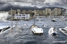 Marbella afectada por el cambio climático. Imagen: Pedro Armestre y Mario Gómez. Fuente: Greenpeace.